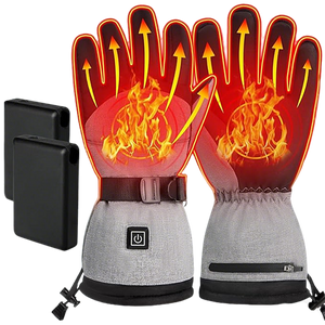 ALLJOY Heated Gloves