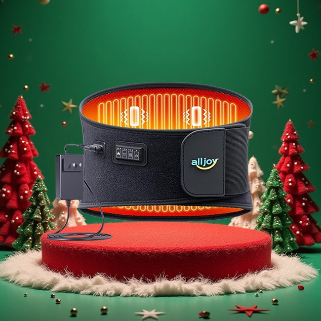 ALLJOY Plug-In Heating Pad Back Massager