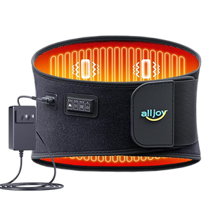 Plug-In Heating Pad Back Massager